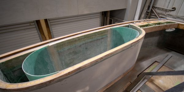Fish box 