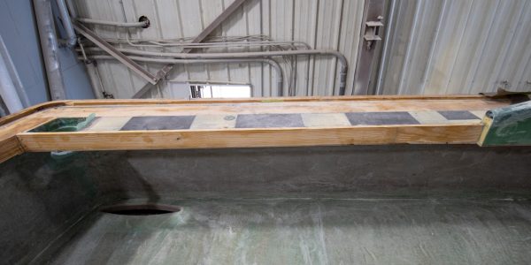 Gunwale being built. 